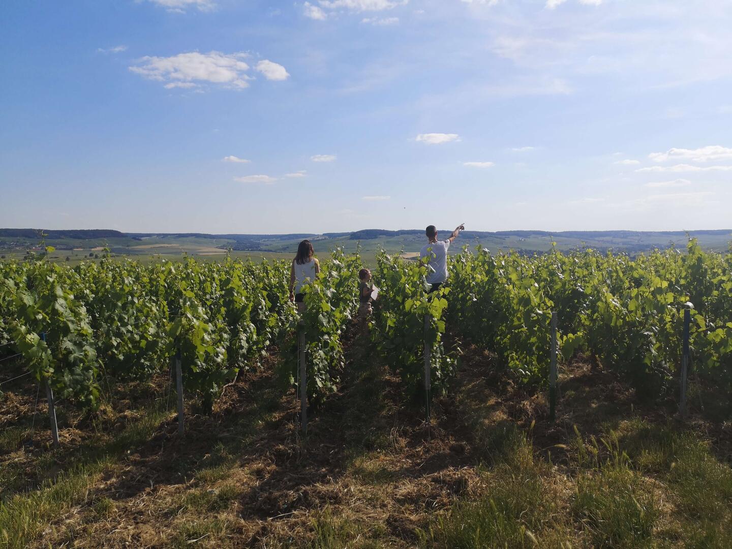 Famille Champagne Tour