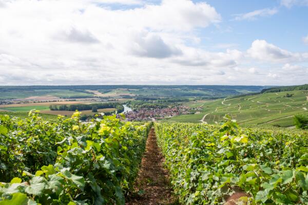 itinraire-autoguid-en-voiture-le-meilleur-de-la-champagne-3dac5