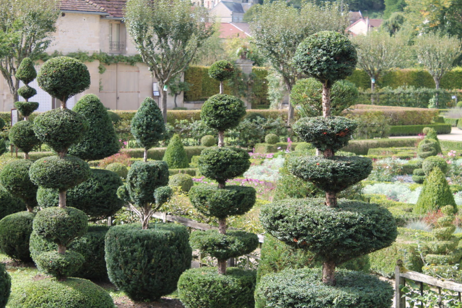 Toparium d'ifs