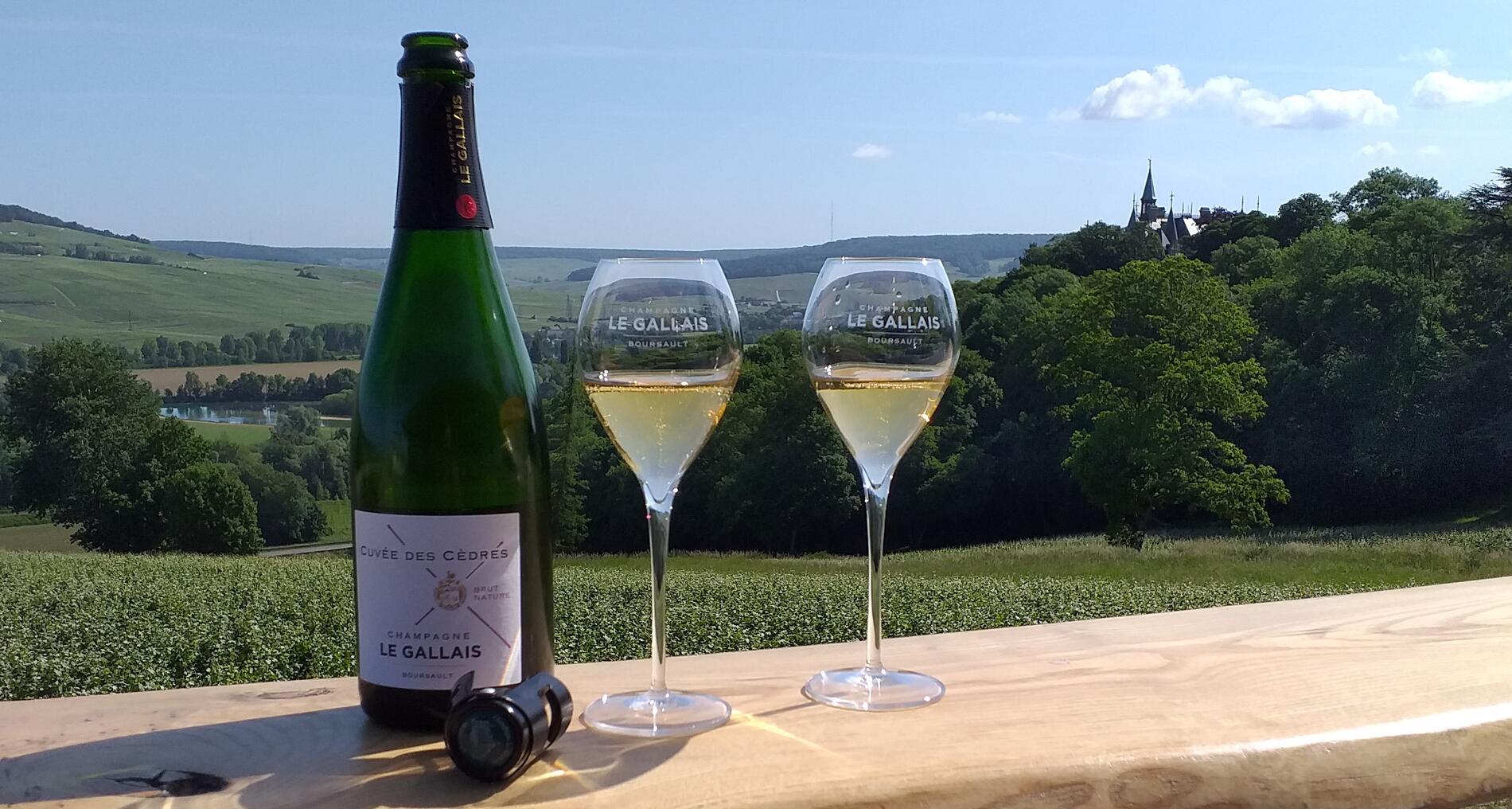 Dégustation sur le Terrasse