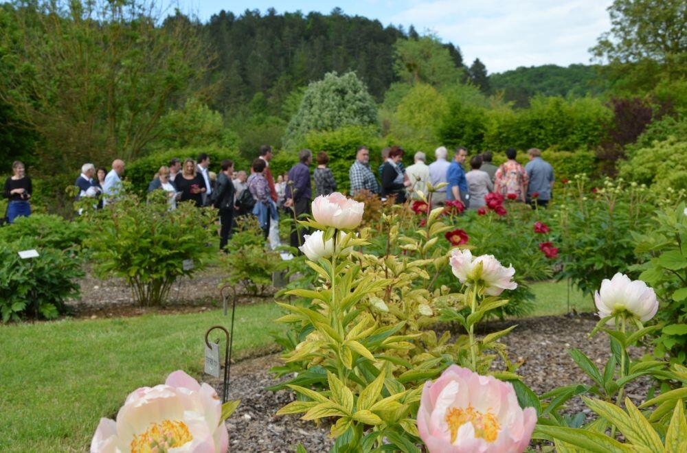 Les jardins - Thonnance lès Joinville