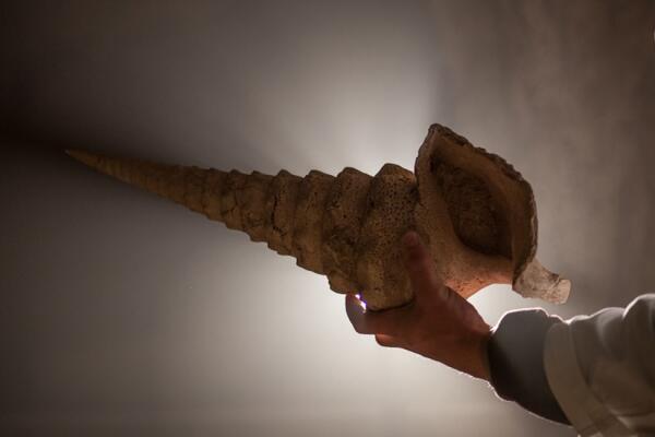 la-cave-la-plus-insolite-de-champagne-3e4d0
