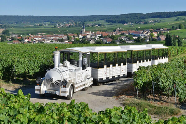 le-petit-train-des-vignes--1-dgustation-3a57a