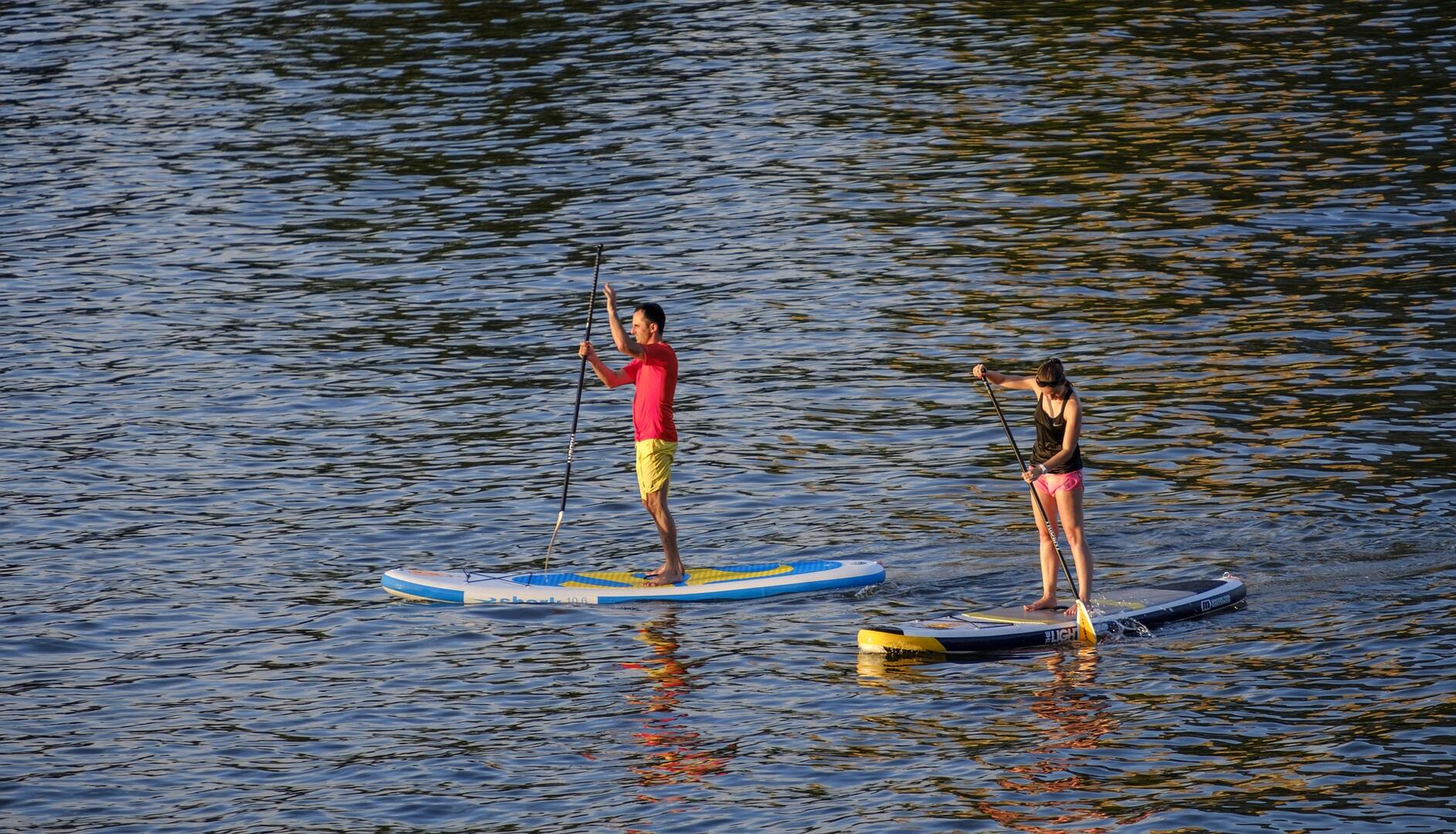 Paddle