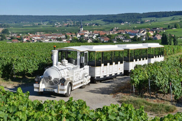petit-train-des-vignobles-de-champagne-3ddea