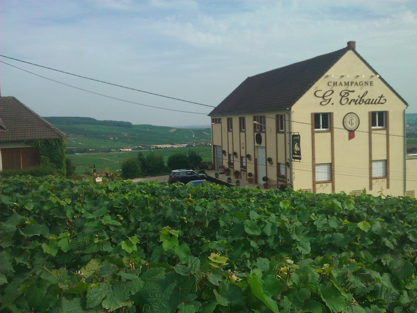 Champagne G. Tribaut - Hautvillers