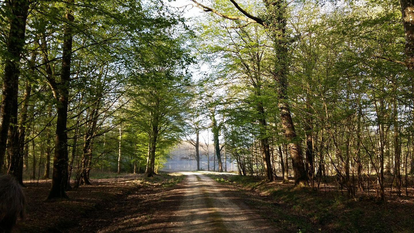 rando à vauciennes