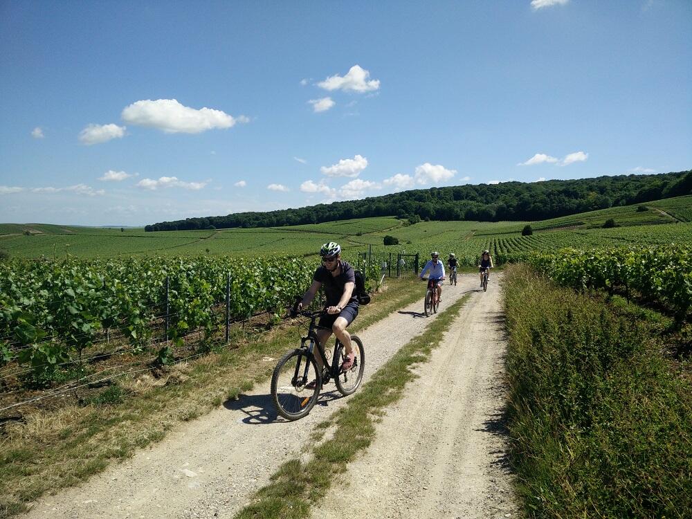 velo-sacre-wine-tour-3-2