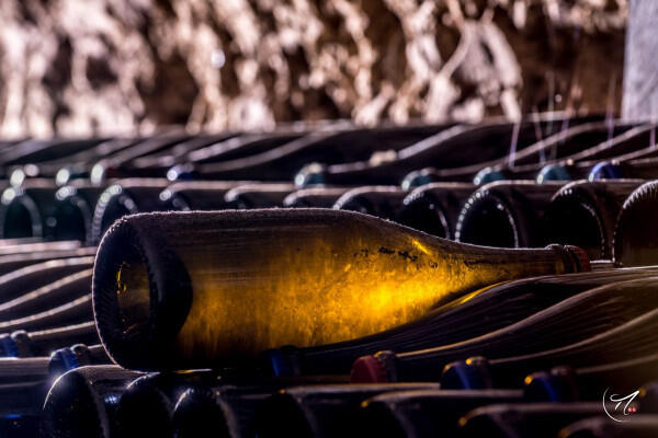 visite-de-caves-champenoises-champagne-h.-billiot-et-fils-347a5