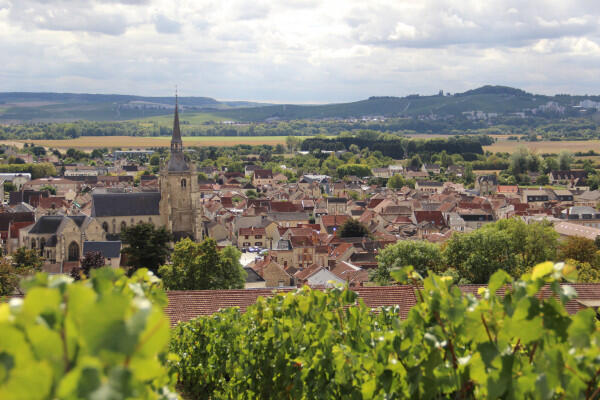 visite-guide-da-champagne-groupes-30687