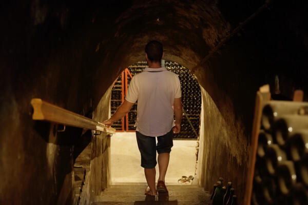 visite-immersion-champagne-alfred-tritant-1