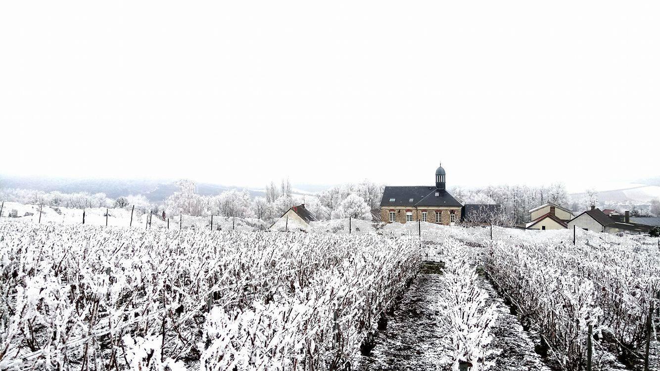 1 ©Sentier du Vigneron