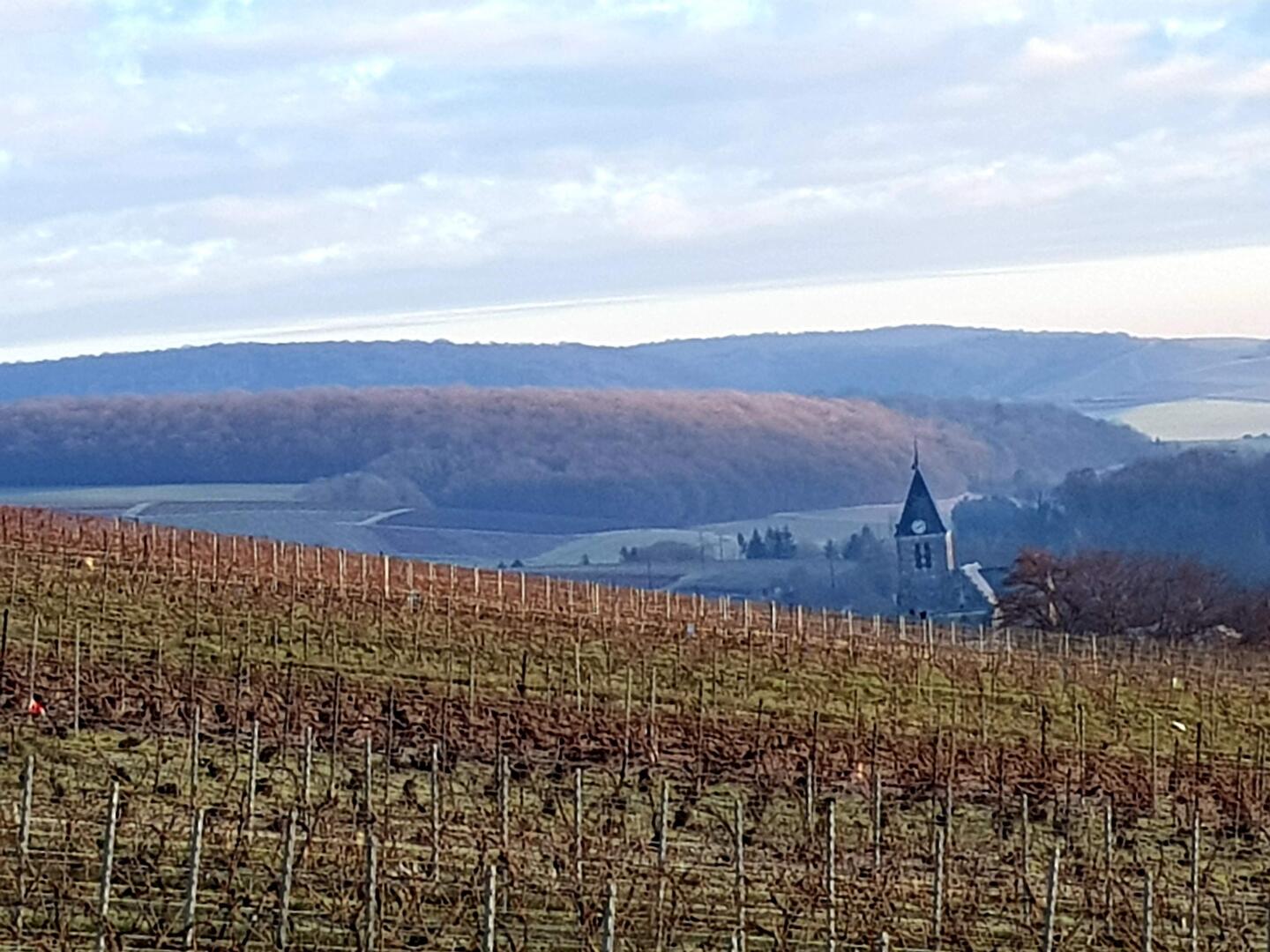 2. ©Terres Jaunes - Valérie Parrour
