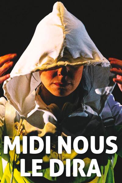 3-midinousledira