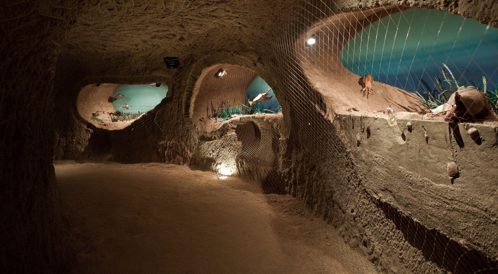 La Cave aux coquillages