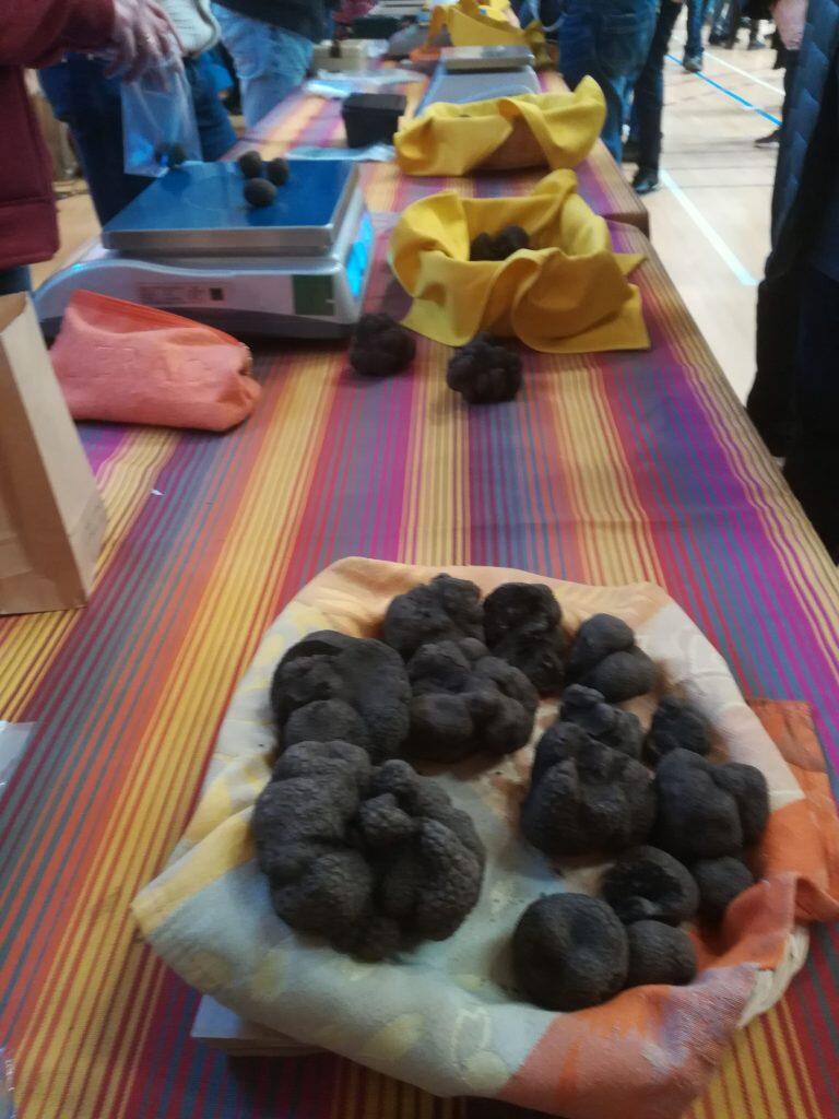 MARCHE-TRUFFE-2-768x1024