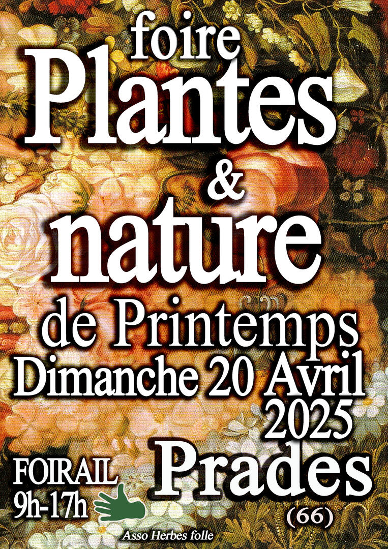 AFFICHE PRINTEMPS 2025 copie