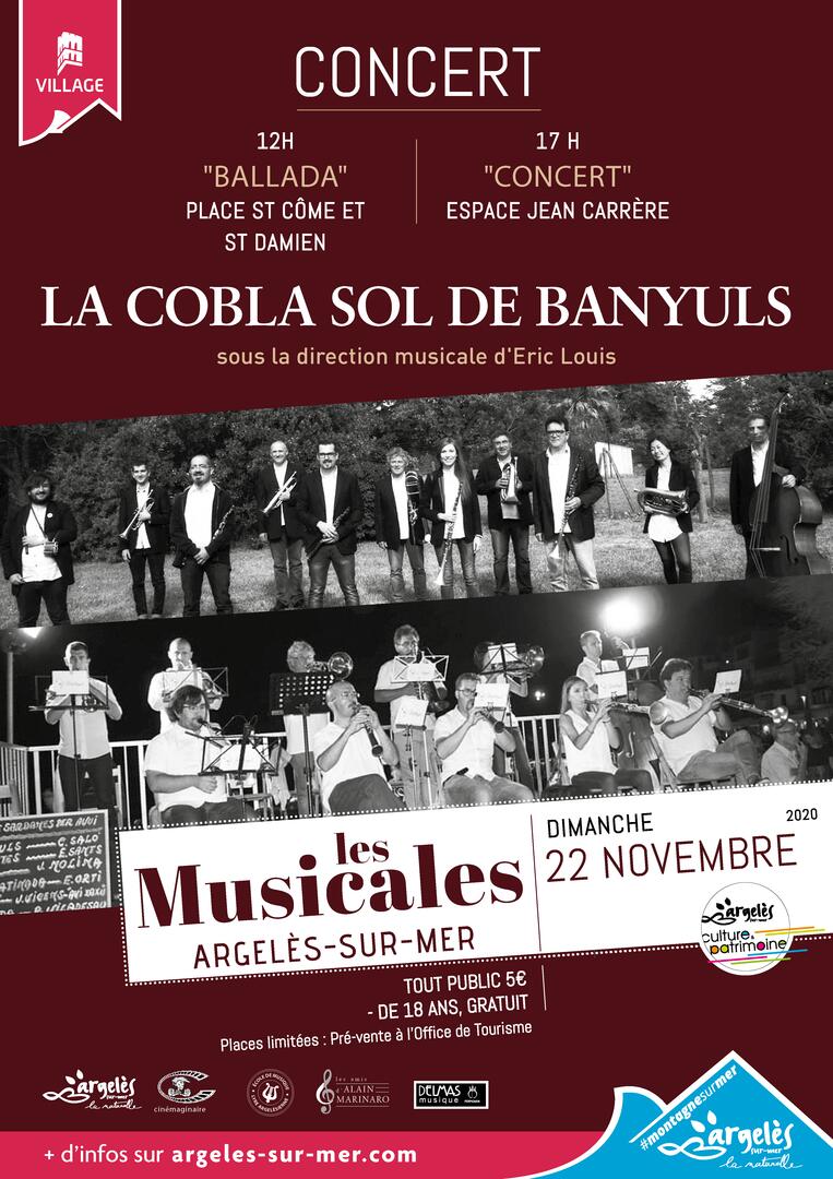 Affiche Musicales - Novembre 2020