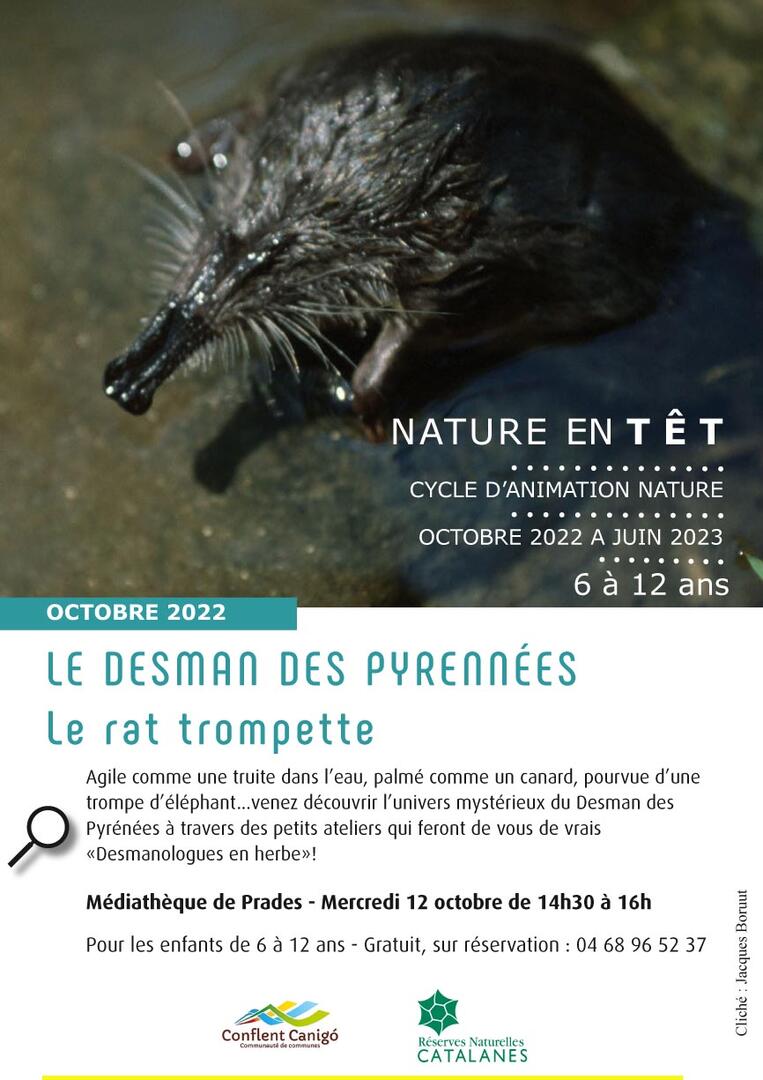 Affiche-desman