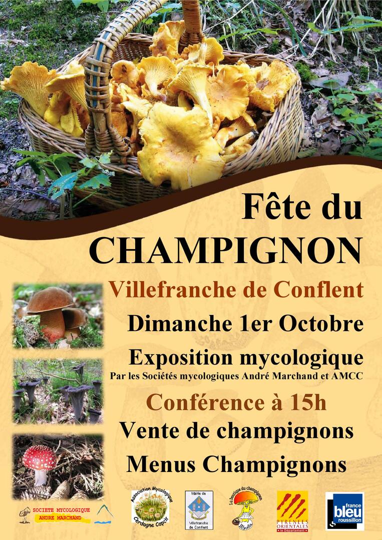 Affiche fête du Champignon 2023-page-001