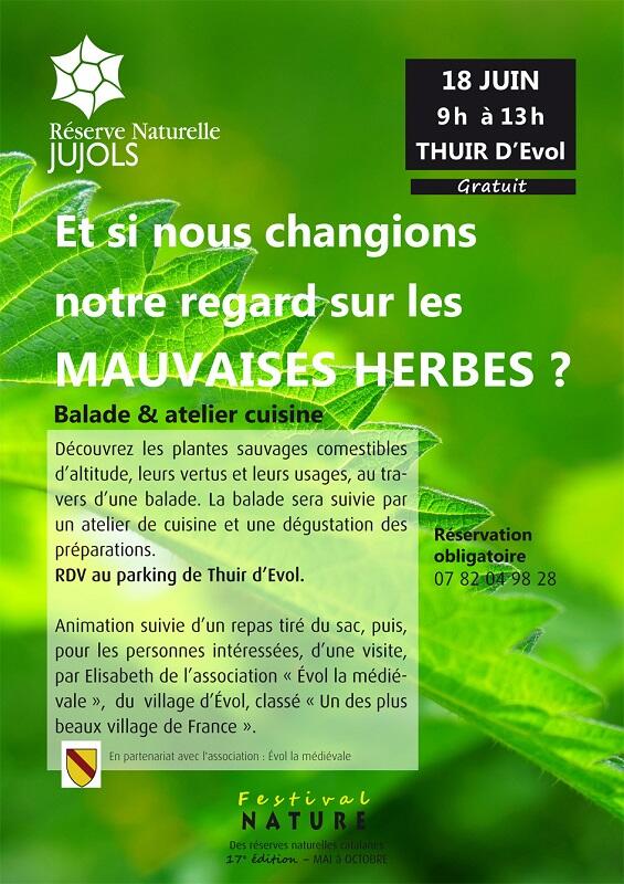 Animation-herbes-sauvages-EVOL