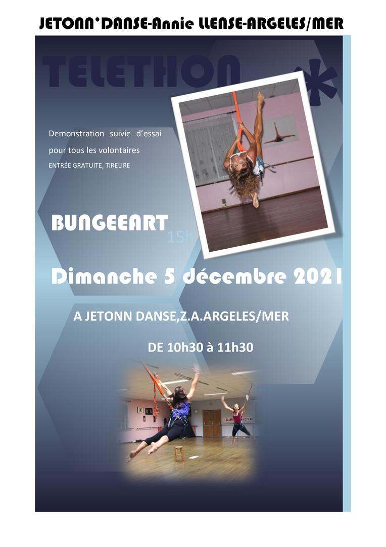 BUNGEEART
