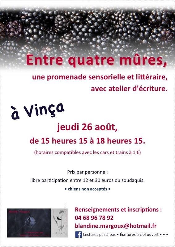 Mûres - 26 août