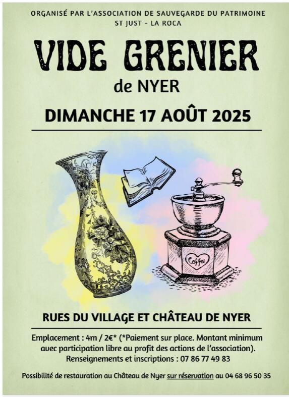 vide grenier nyer