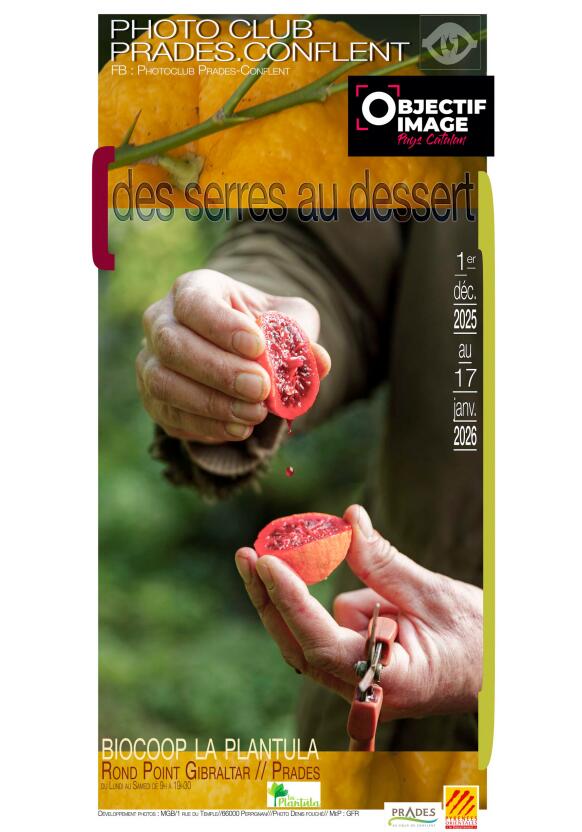 Capture d’écran (29)