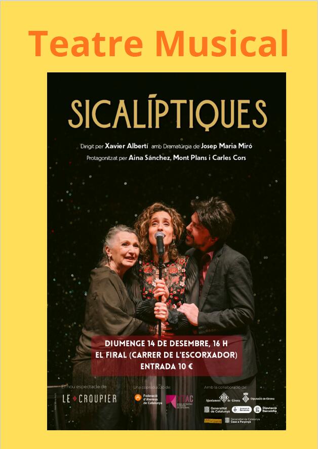 Capture d'écran 2025-11-14 142601