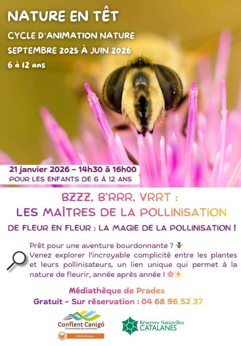 Capture d’écran 2025-11-27 142815