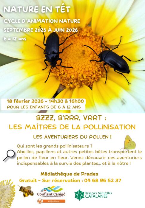 Capture d’écran 2026-01-08 134723