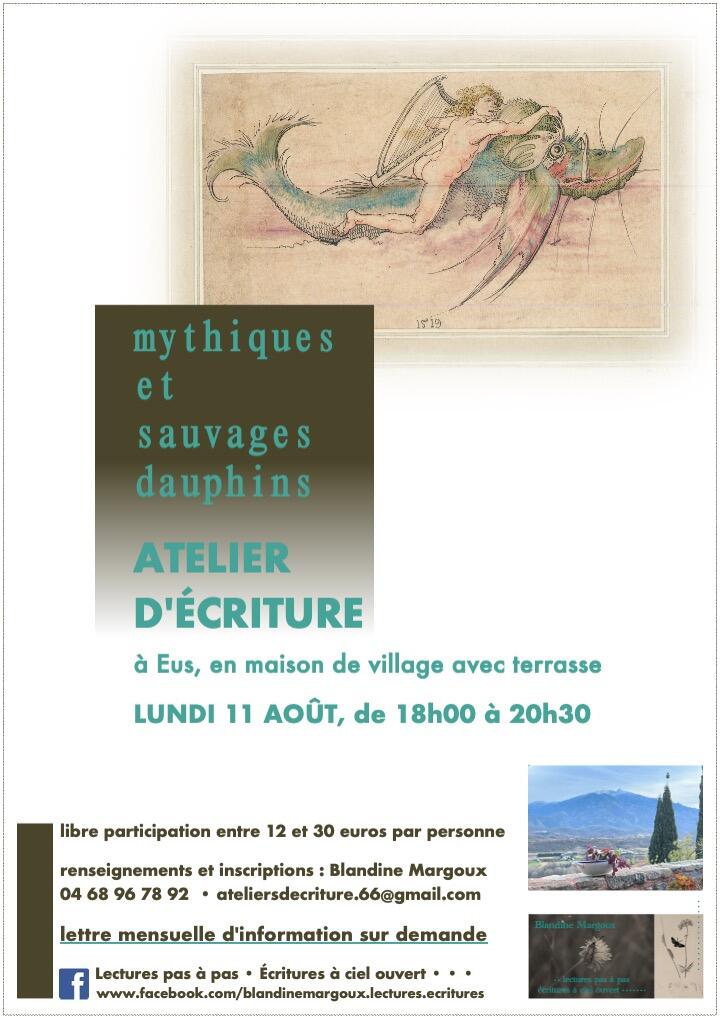Dauphins - 11 août 2025
