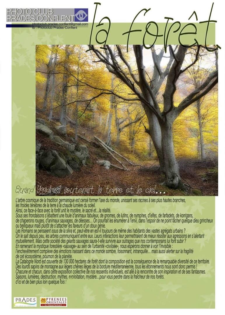 club photo de prades