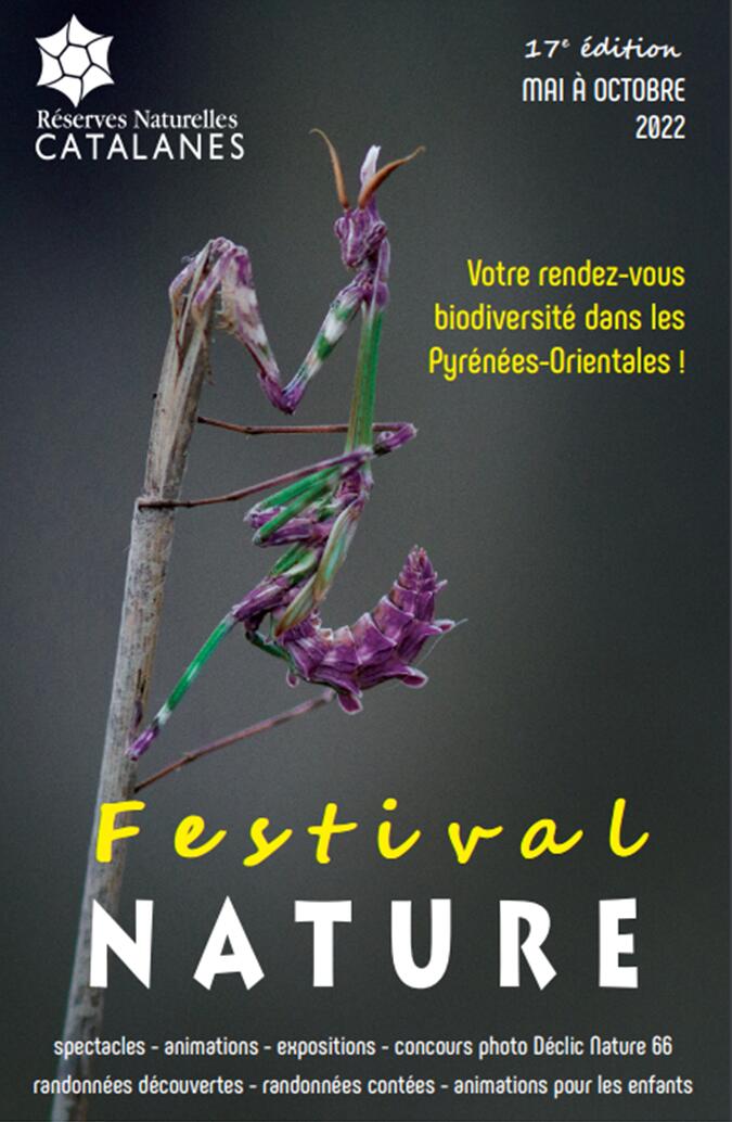 Festival nature