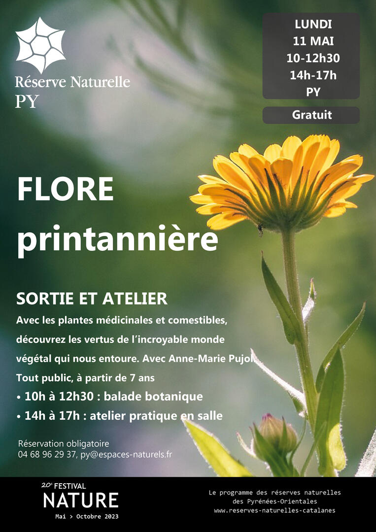 Flore printannière Py