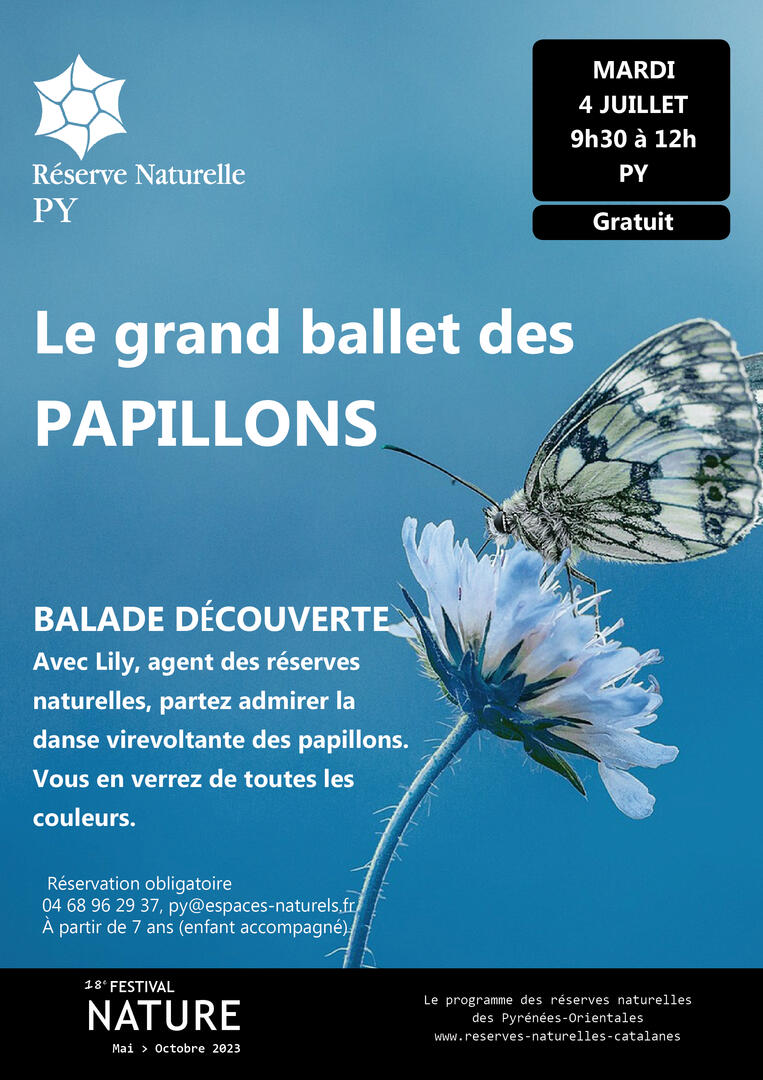 Le grand ballet des Papillons