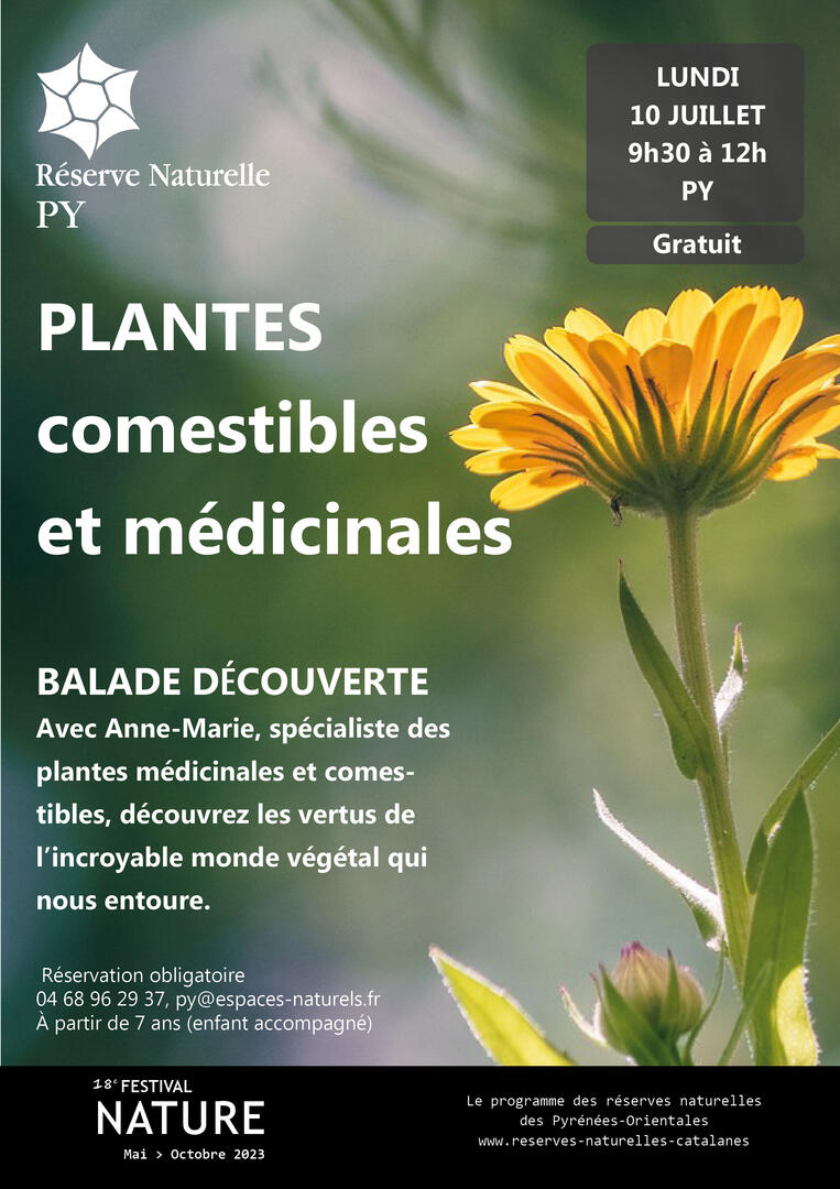 PY-10-07-plantes