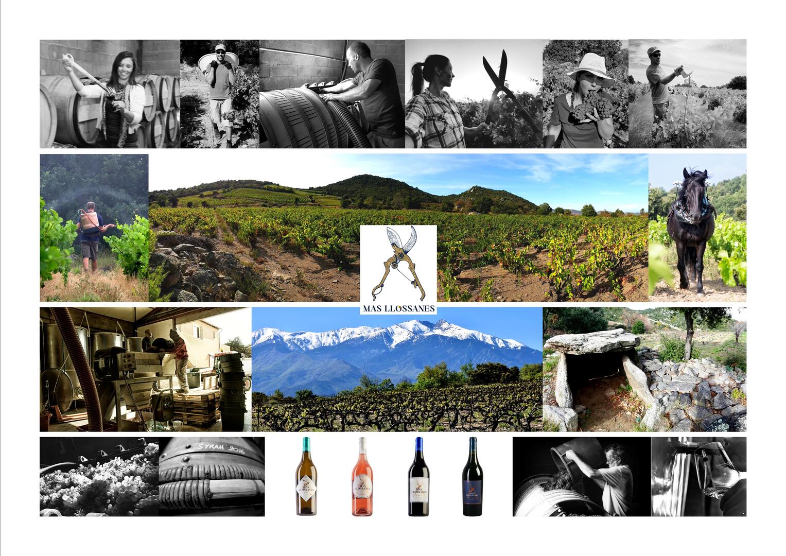 Photos Mas Llossanes alta
