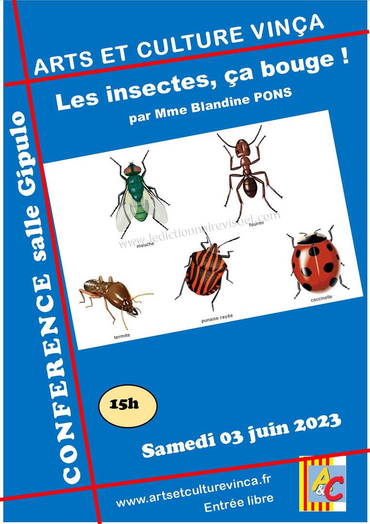 aff-insectes-030623