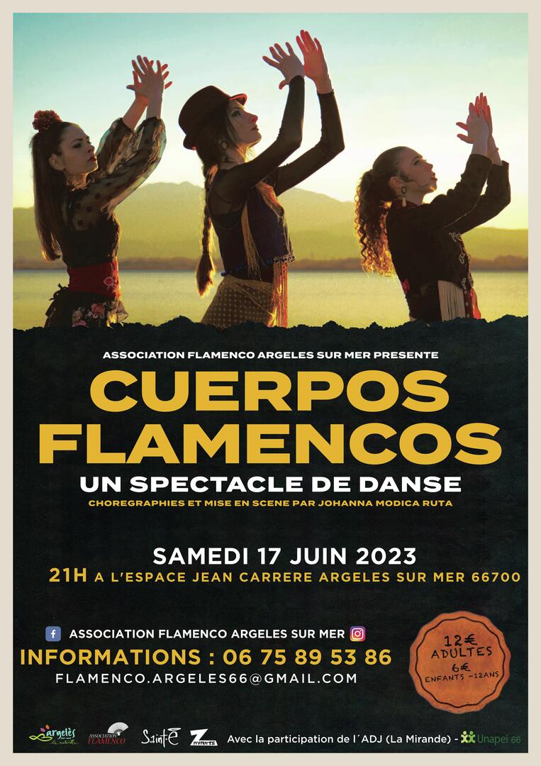 affiche cuerpos flamenco 03