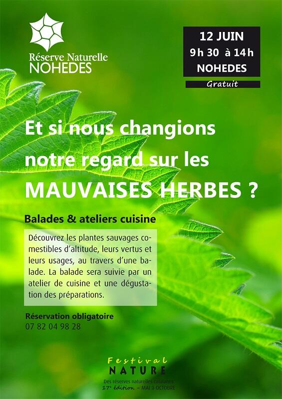 animation-herbes-nohedes