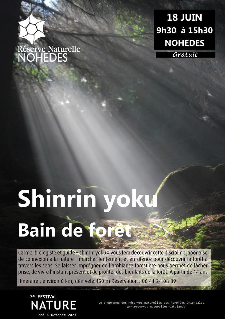bain-forêt
