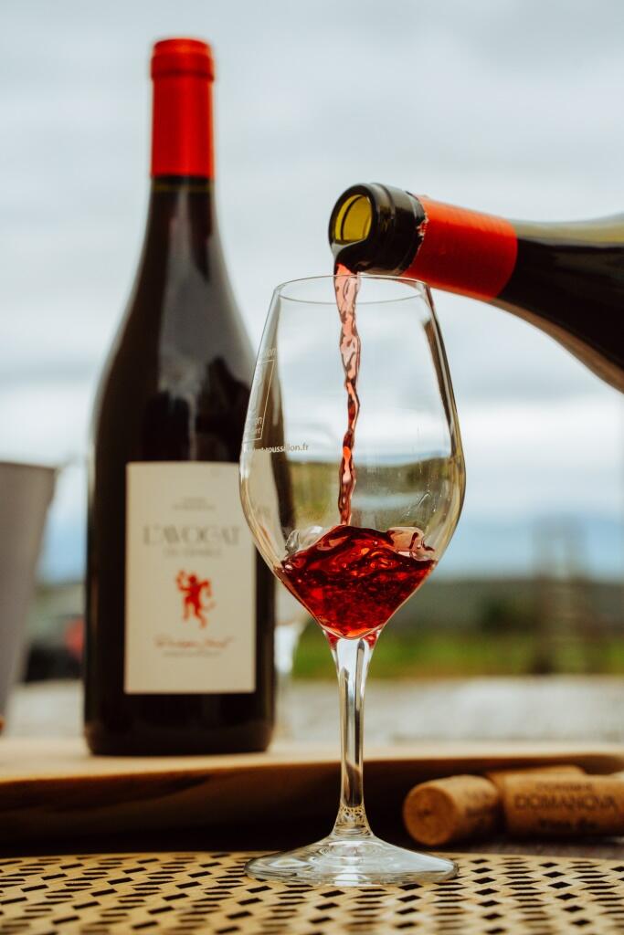 dégustation_Domaine_Domanova