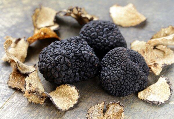 depositphotos_54824145-stock-photo-expensive-rare-black-truffle-mushroom