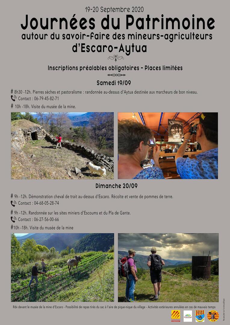 escaro jep