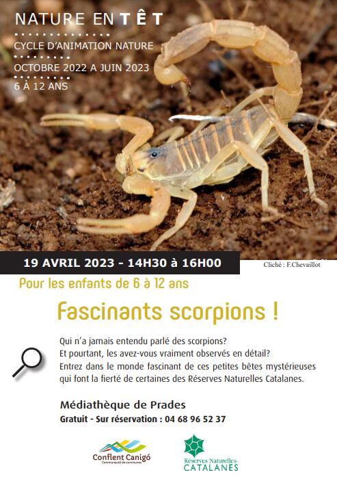 fascinants scorpions