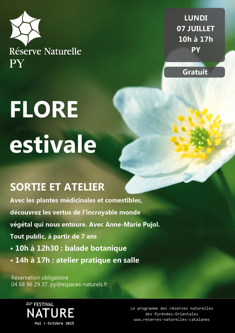 flore-estivale