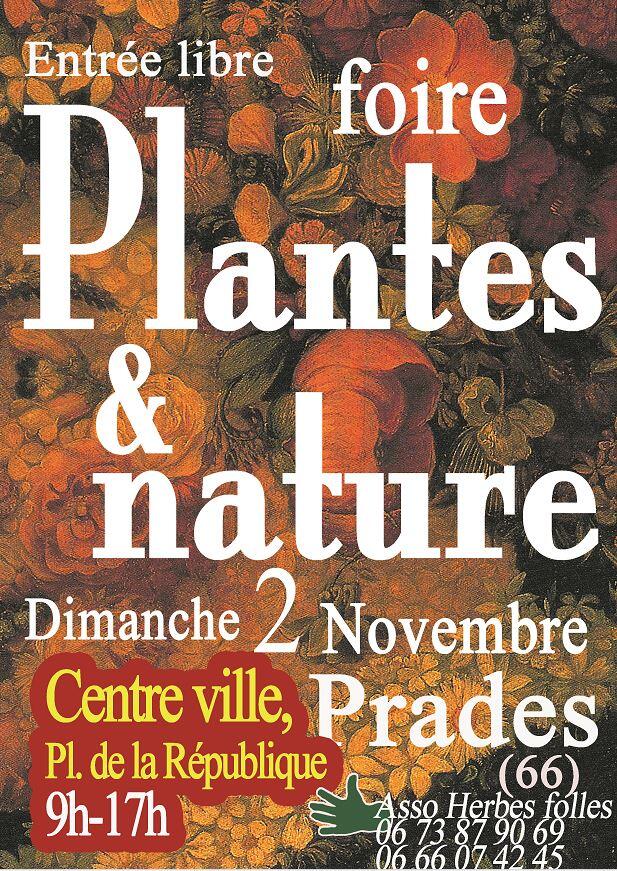 foire aux plantes 2025