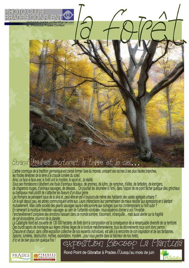 la foret